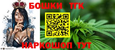 крисы Лесосибирск