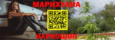 крисы Лесосибирск